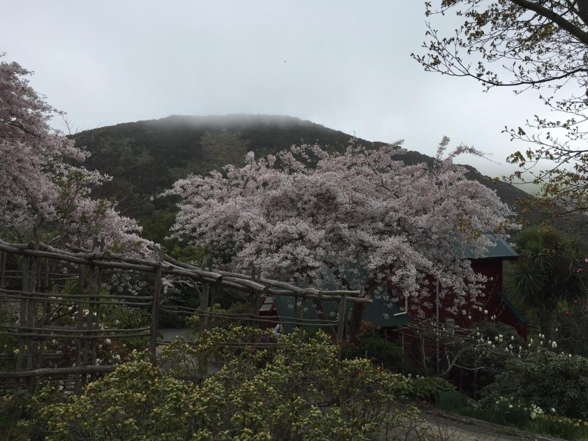 Hereweka Garden Retreat Dunedin Eksteriør billede