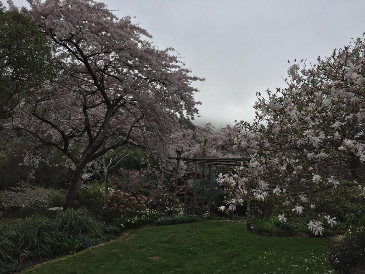 Hereweka Garden Retreat Dunedin Eksteriør billede