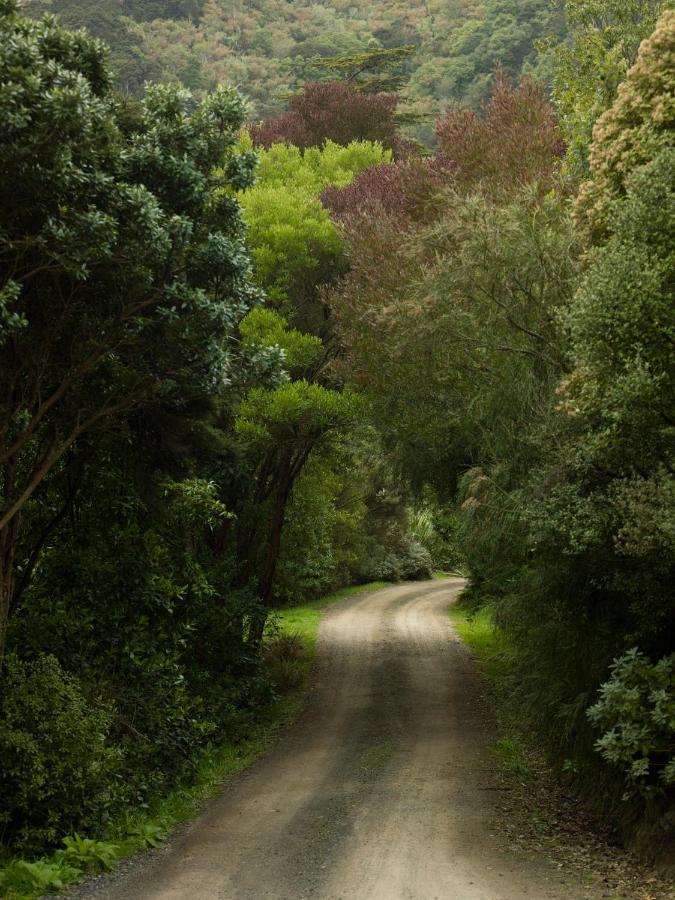 Hereweka Garden Retreat Dunedin Eksteriør billede