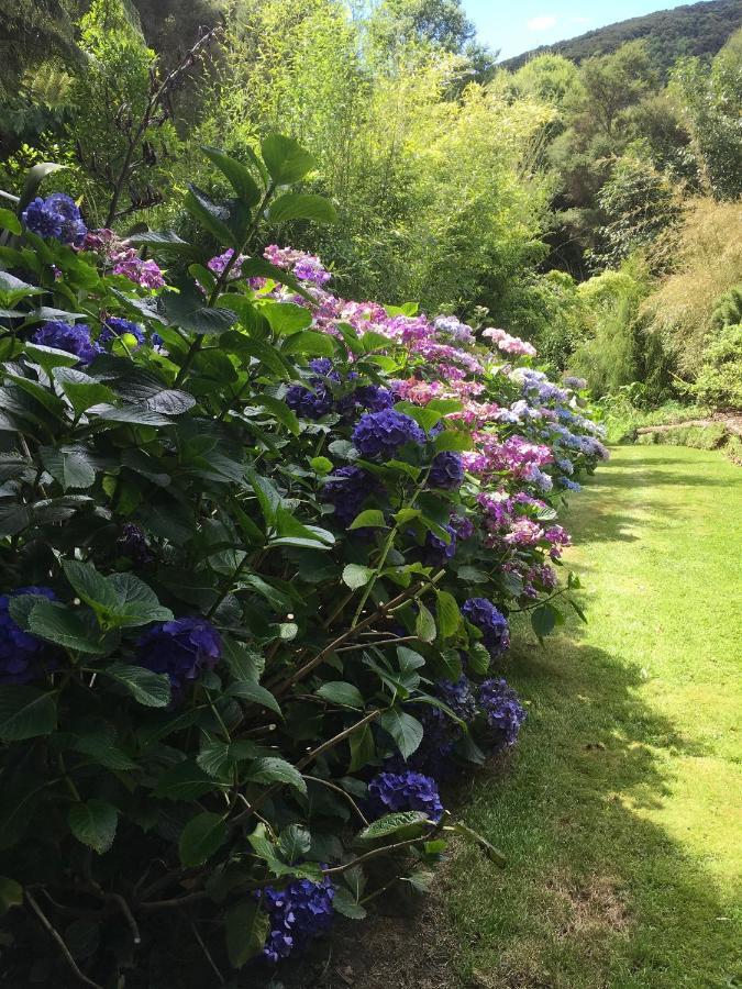 Hereweka Garden Retreat Dunedin Eksteriør billede